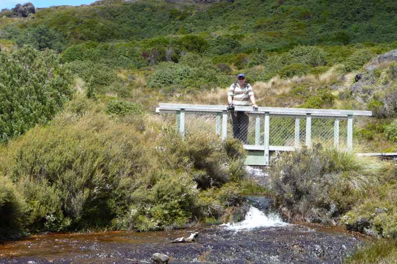 Nieuw-Zeeland 2011 - 0854